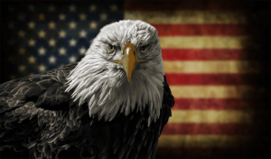 America's Patriotic Brand